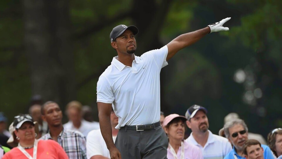 Tiger misset cuten i comebacket