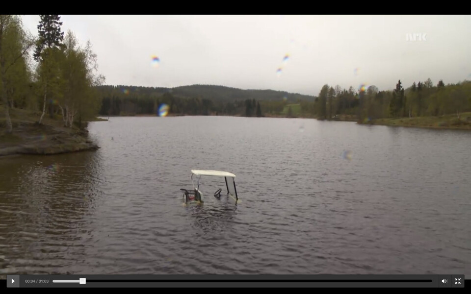 Stjålet golfbil havnet i vannet