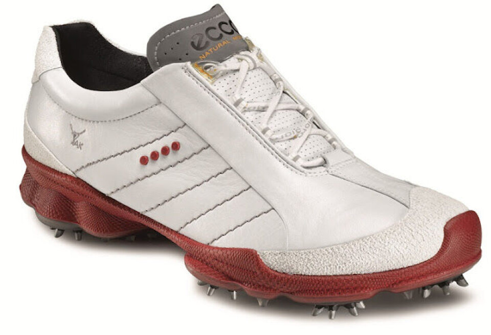 TEST: ECCO Biom GTX
