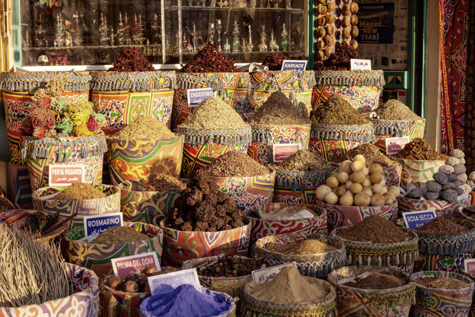 Egypt: Turistgolf i faraoenes land