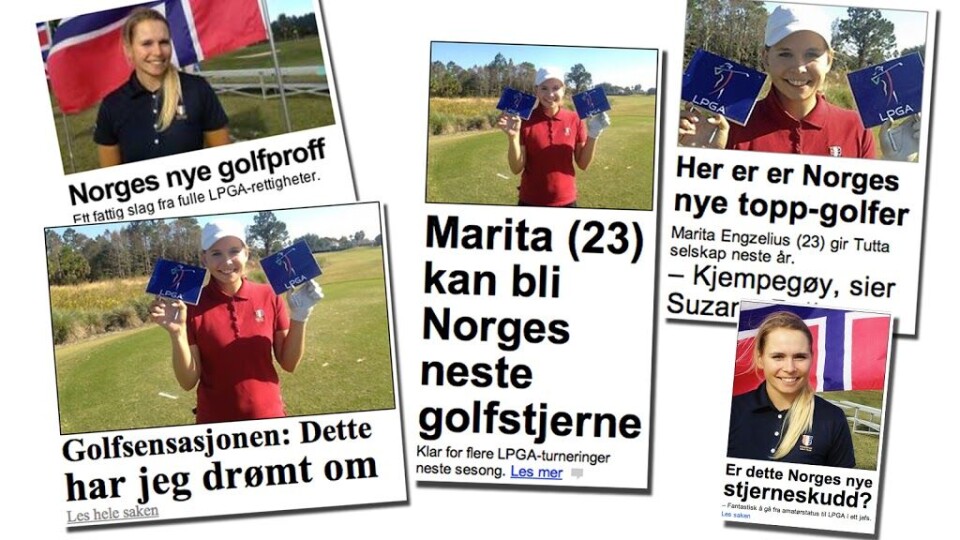 Dette skriver de