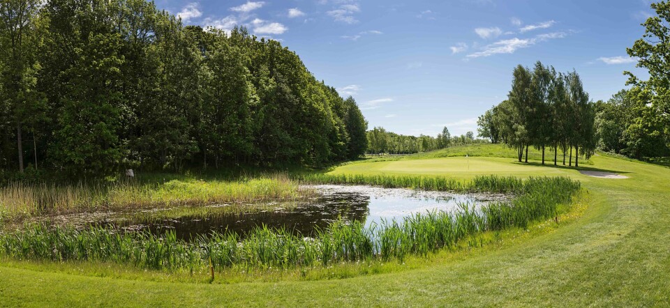 Satser stort på rekruttering under NM