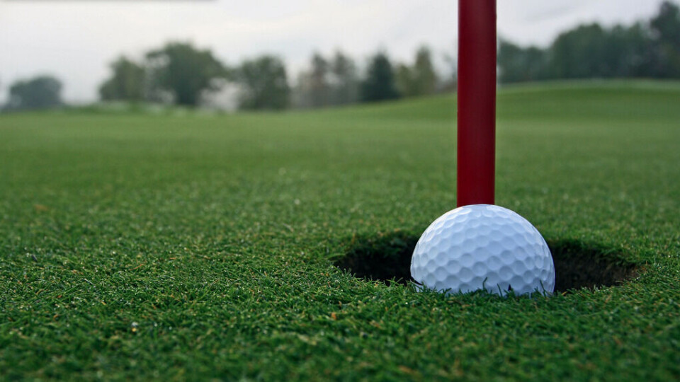 Golfball-tyvene ble fersket