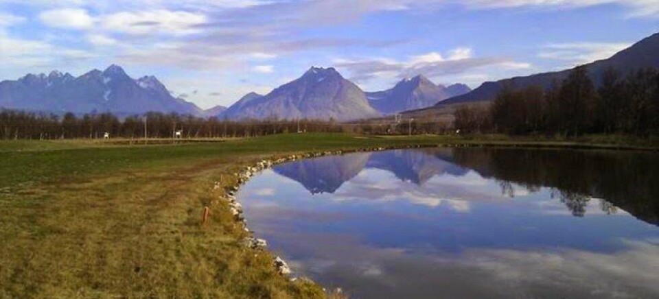 Vil redde golfklubb med dugnadsarbeid