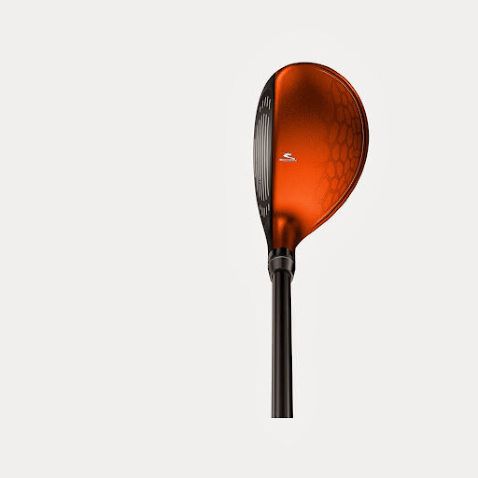 BiO Cell fra Cobra Puma