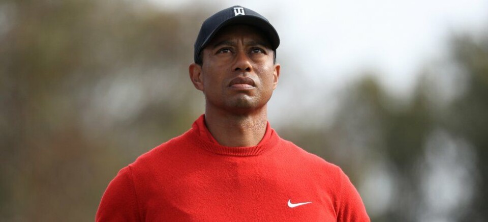 Tiger-venn spår lang tid før comeback