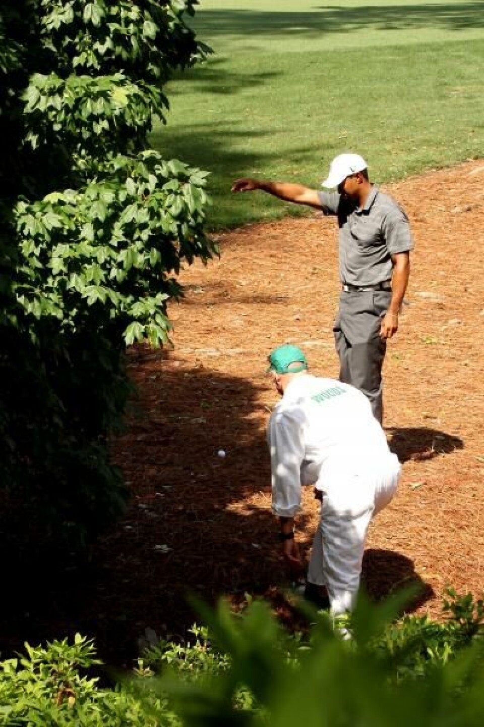Westwood sa før turneringen slo i gang at det ville være naivt å tro at denne turneringen handlet bare om Tiger Woods og Rory McIlroy. De to kan prise seg lykkelige over at de fortsatt har kort vei opp til toppen.