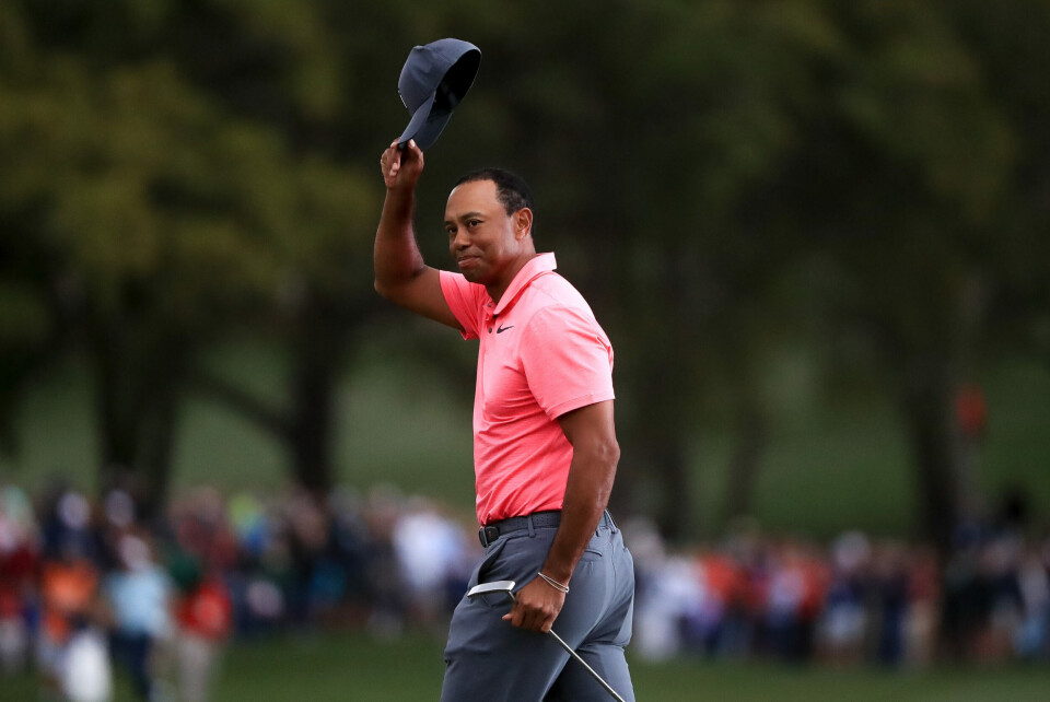 Tiger kjemper om seieren