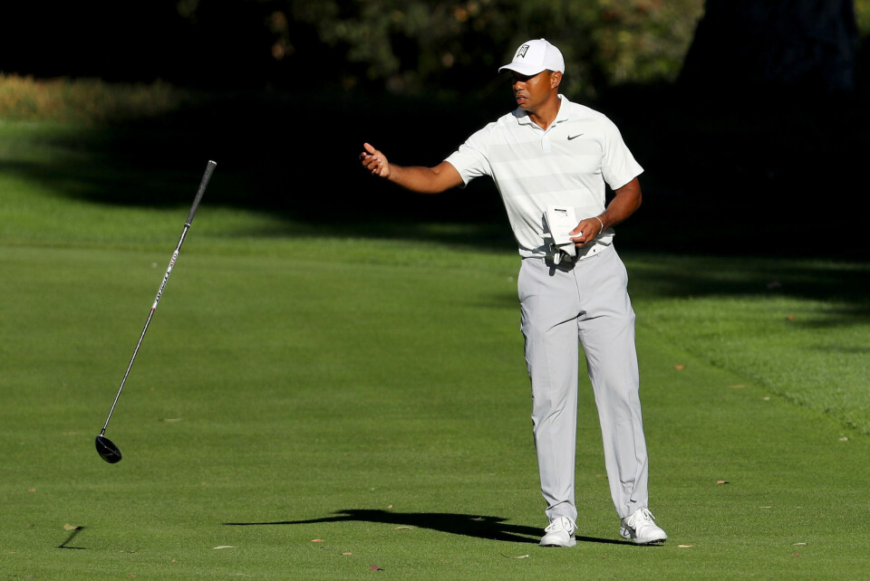 Tiger misset cuten på Riviera