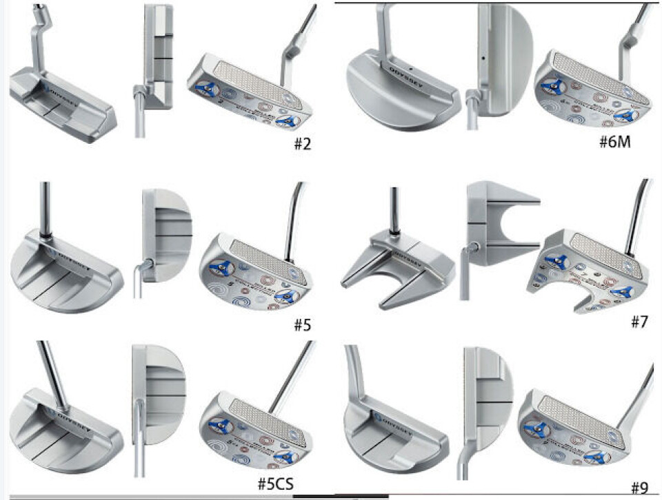 Putteråret 2015