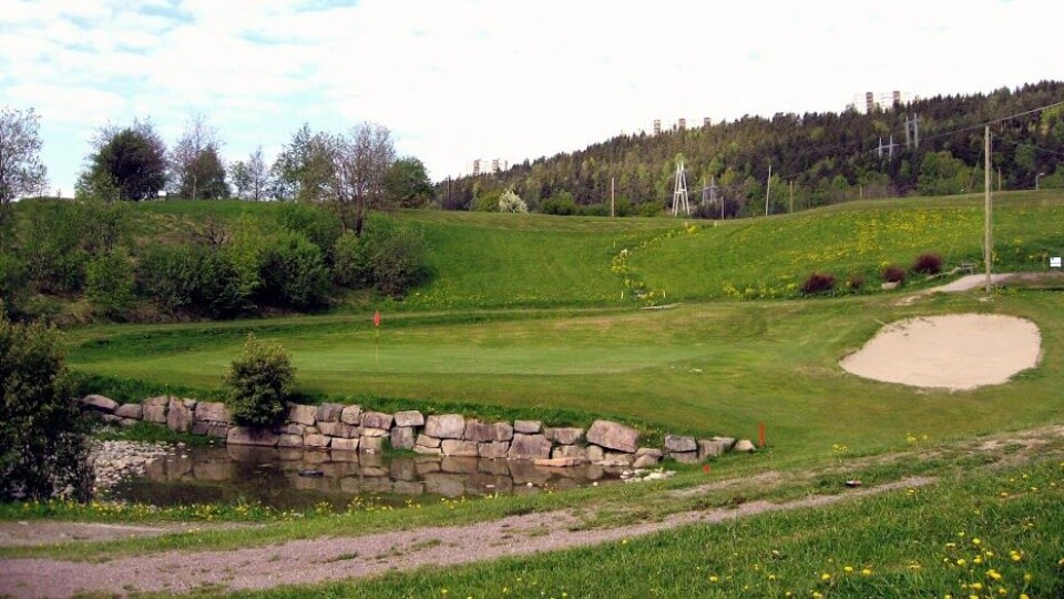 Rett i koppen = bil