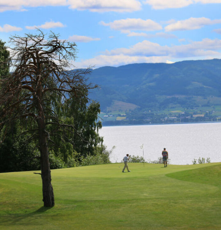 Golfen har mye data og erfaringer som kan deles med andre forbund, påpeker Nilsen. Bildet er fra Atlungstad GK på Hamar.