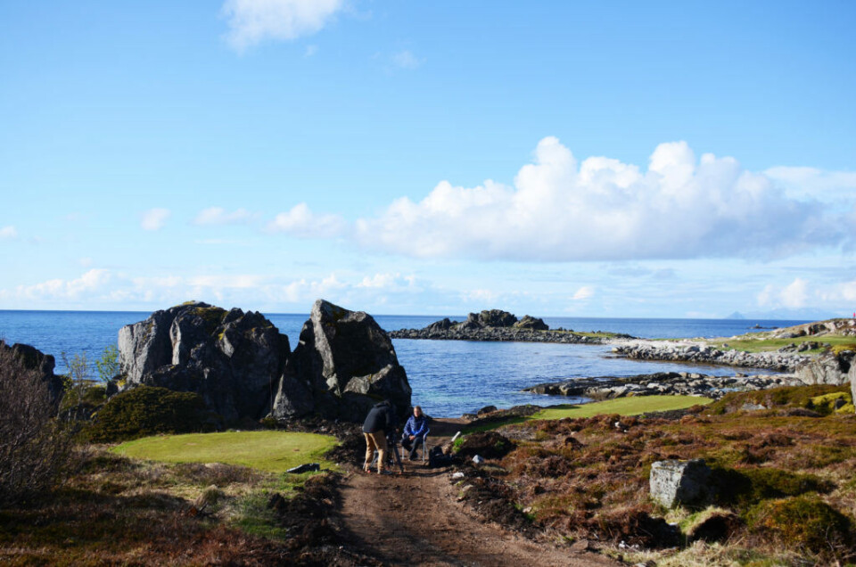 Lofoten Links: Gullet i nord