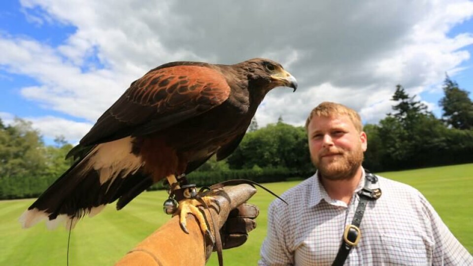 Ryder Cup og Gleneagles - 93 år etter