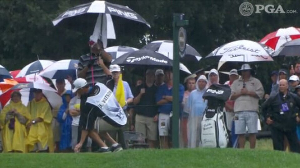 Mesterlige McIlroy