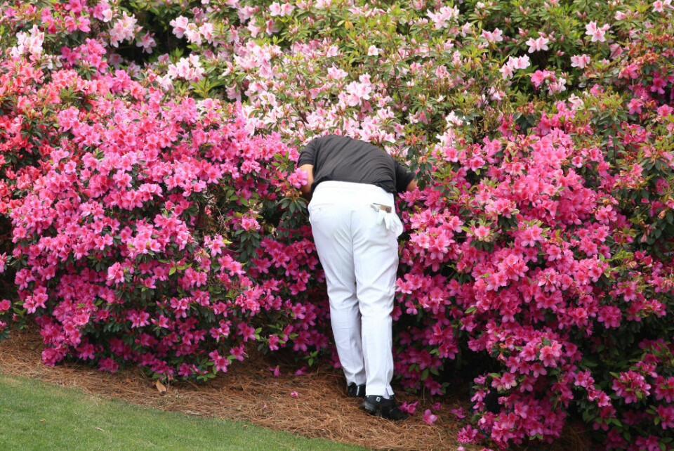 17 tegn på at det overhodet ikke er din dag på golfbanen!