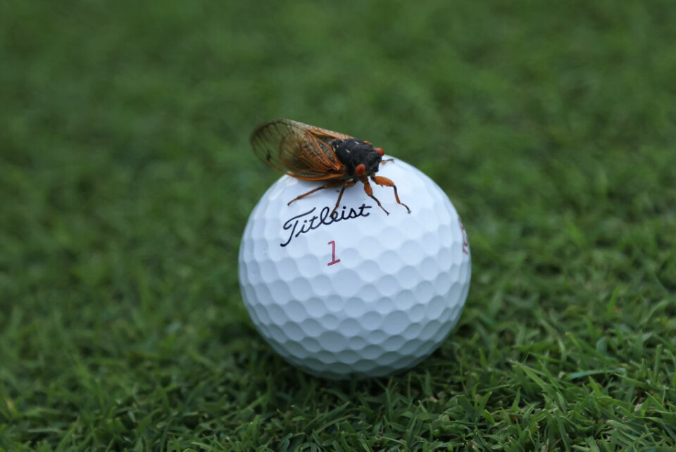 17 tegn på at det overhodet ikke er din dag på golfbanen!