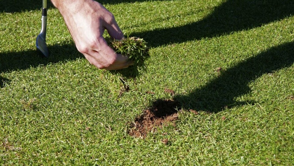 Vil du bli populær i golfklubben din?