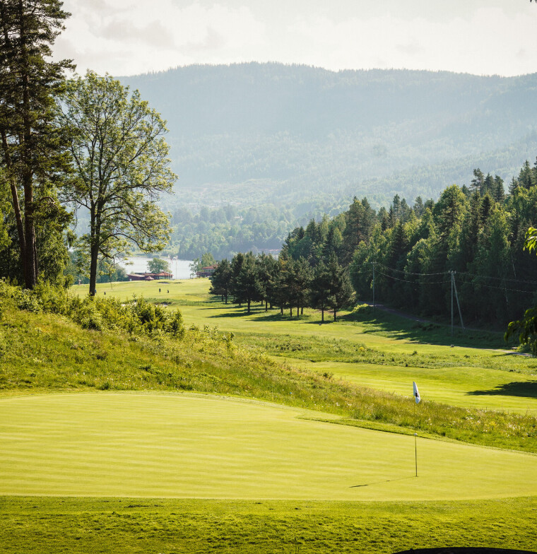 Hull tre er et helt nytt par 3. Det er kort, men krever presisjon. Fra greenen har du fabelaktig utsikt i flere retninger. Tyrifjord Golfklubb