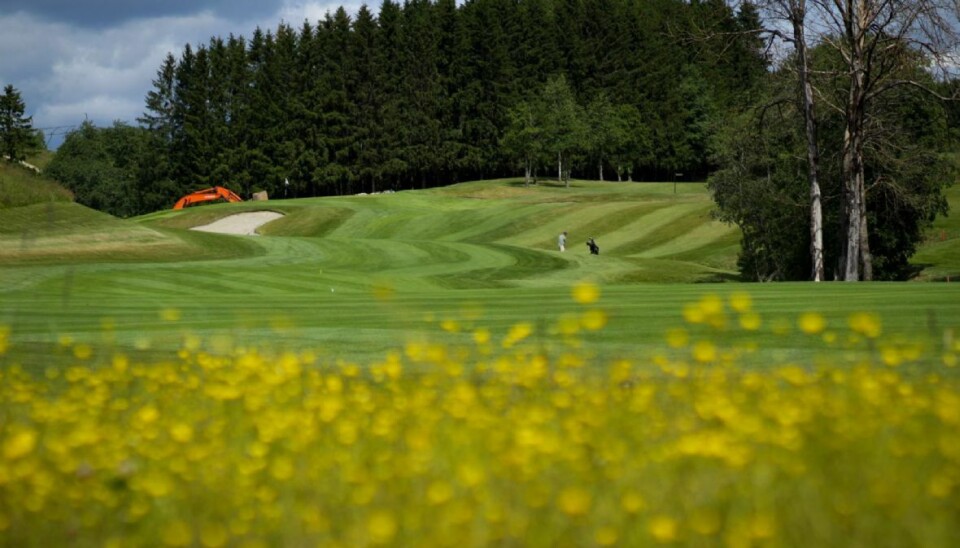 Hauger Golfklubb er med i et internasjonalt prosjekt om biologisk mangfold og økologiske funksjoner i større landskap.