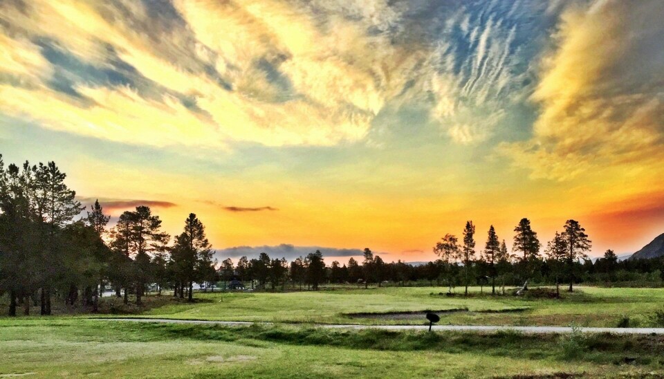 Alta Golfklubb har sett seg lei på at spillere sniker seg ut på golfbanen uten å betale.