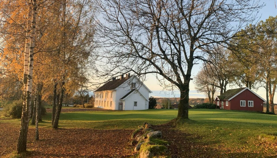Borre Golfklubb har i 2024 mistet 80 medlemmer og håper lavere medlemsavgift skal snu trenden.