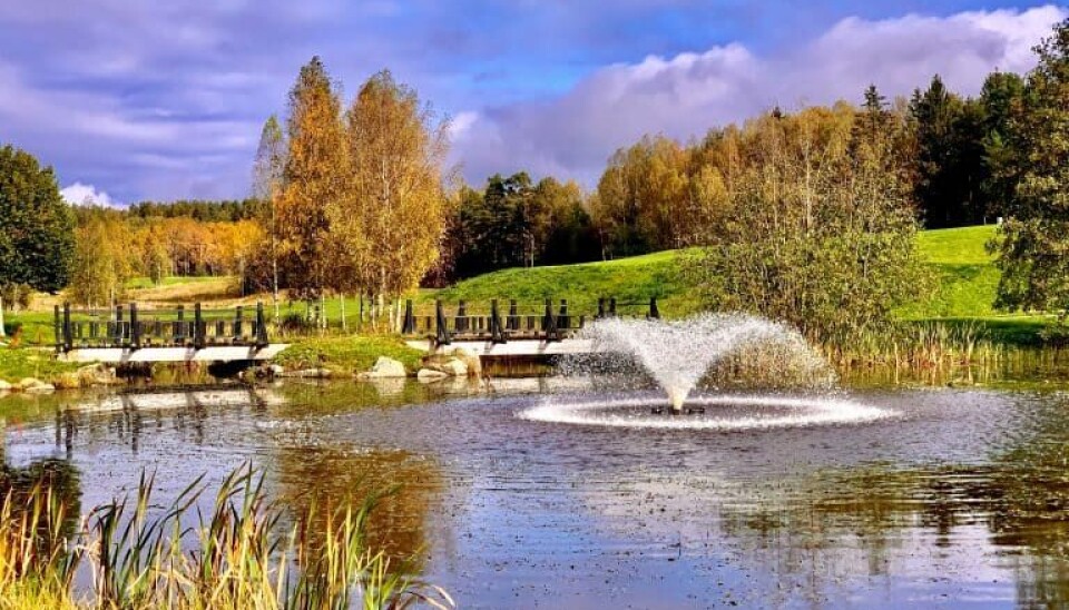 Oppegård Golfklubb har fått tillatelse til opprenskning i dammen og bekken mellom hull 9 og 18.