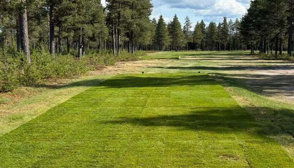 Nå er det nytt gress på tee 1, 11 og 12 ferdig lagt.