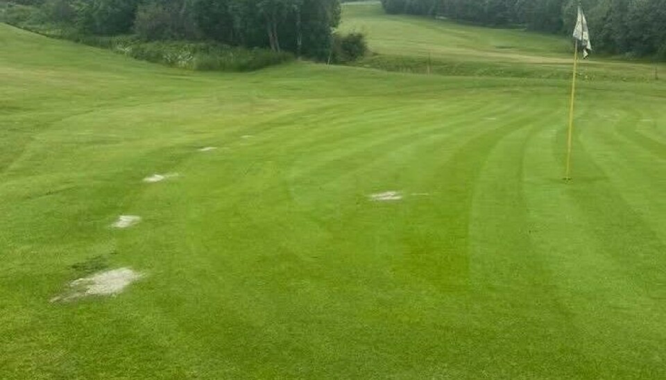 Store sår på og rundt hull 12 på Mjøsen Golfklubb møtte greenkeeper lørdag morgen.