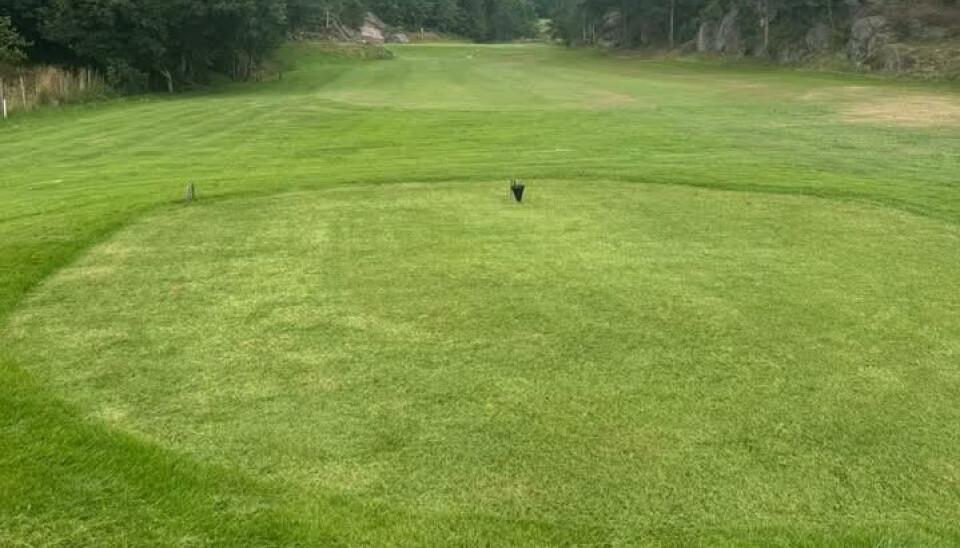 Tre av utslagstedene på Grimstad Golfklubb har nå fått sitt hybridgress.