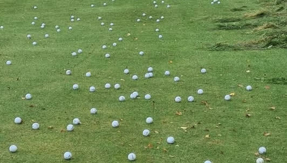 Mellom 500 og 600 rangeballer ble plukket fram da det lange gresset langs drivingrangen ble klippet på Utsikten Golfpark.