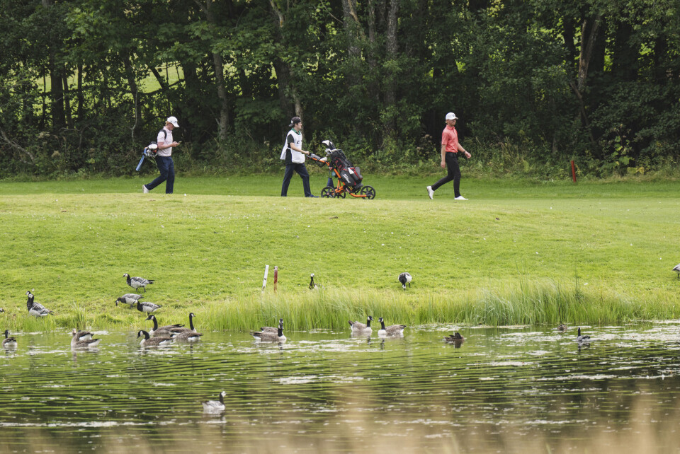 Foto: Benjamin A. Ward / Norges Golfforbund
