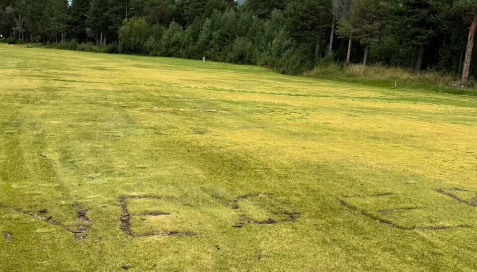 Lite hyggelig å bli møtt med to ganger når man kommer på jobbe.