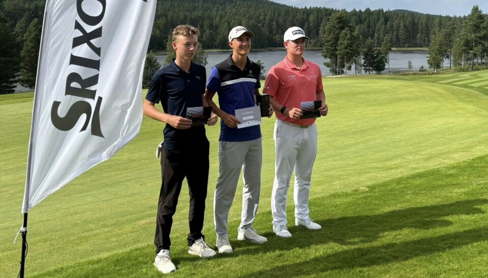 Brandsæter, Hauger og Risvåg.