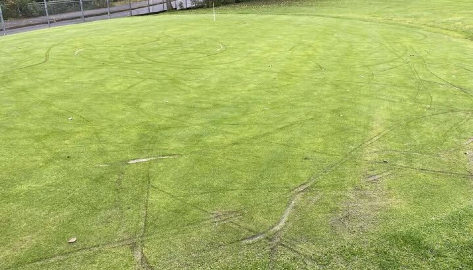 Det er mest sannsynlig en sparkesykkel som har ordnet ødeleggelsene på hull 3 på Bergen Golfklubb.