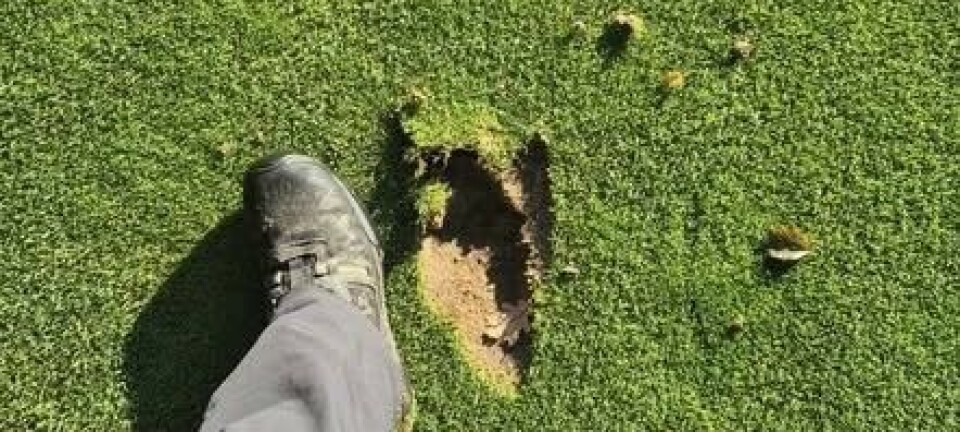 Innbrudd og hærverk på fire golfklubber