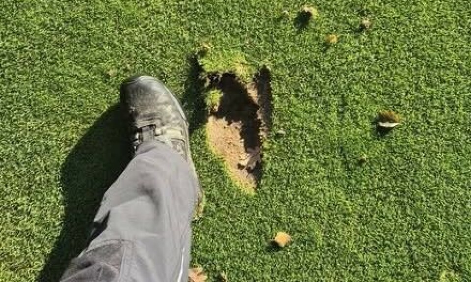 Slik så det ut på en av greenene til Kristiansand Golfklubb etter hærverket.